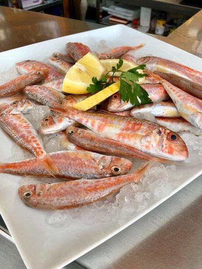 Fresh red mullet on ice, ready for the grill
